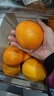 集南鲜 赣南脐橙 江西橙子新鲜现摘水果脐橙时令生鲜水果甜橙 水果礼盒 净重9斤 精品橙 单果160-220g 实拍图