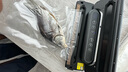 达派（dapai）德国真空封口机家用商用干湿两用全自动抽真空包装真空食品保鲜机塑封机抽腊肉真空封口 店长推荐【干湿两用】下单享袋子 实拍图