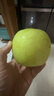 京地达梨砀山翠玉梨香梨梨子新鲜水果净重4.8斤单果250g+源头直发包邮 实拍图