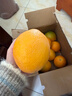 土八鲜江西橙子赣南脐橙新鲜水果赣州脐橙手剥甜橙礼盒 未来橙9-10斤装【果径80-89mm】 实拍图