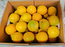 褚橙 云南冰糖橙  优级果 L 10斤装 单果约130g起 生鲜水果礼盒 实拍图
