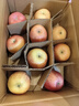 甜醉了 烟台苹果栖霞红富士新鲜水果生鲜山东特产脆甜整箱平果礼盒礼品 18枚单果75-80mm(净重约8斤) 实拍图