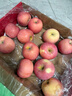 京鲜生 烟台红富士苹果 净重5.2斤/12粒  单果190-240g  水果礼盒 实拍图