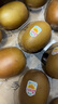 佳沛（zespri）新西兰  阳光金奇异果10粒礼盒巨大果单果约144-175g 水果 猕猴桃 实拍图
