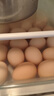 东方甄选谷物鲜鸡蛋/DHA/大码蛋可生食新鲜营养早餐溏心蛋生鲜谷物喂养 30枚 1.5kg 谷物鲜鸡蛋 实拍图