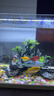 萌嘟星宠 假山鱼缸造景摆件装饰套餐仿真城堡树脂躲避洞 实拍图