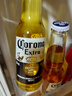 科罗娜（CORONA）特级啤酒330ml*12瓶啤酒整箱装经典拉格京东自营 实拍图