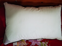 水星家纺枕头枕芯酒店枕头护颈枕头芯家用一对纯棉抗菌可水洗中枕48x74cm 实拍图