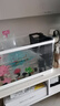 独宠你鱼缸小型客厅生态造景过滤制氧一体缸桌面金鱼缸水族箱大号白色 实拍图