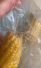 当季新货头茬东北黄甜糯玉米棒真空包装低脂黄糯大棒甜东北黏苞米 黄糯玉米【120-160克】6根 实拍图