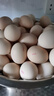 CP  正大 无抗鲜鸡蛋40枚 4.48斤  优质蛋白 无抗生素 礼盒装 实拍图