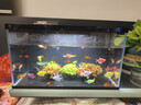 米家（MIJIA）智能生态鱼缸还原自然生态 智能鱼缸+滤芯套装 实拍图