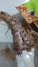 海速达 鲜活熟冻大号皮皮虾 500g13-15只 满肉公濑尿虾爬子虾姑婆富贵虾 实拍图