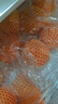 新奇士（Sunkist） 澳洲黑标晚熟脐橙4斤礼盒装 单果180g起 生鲜水果礼盒 实拍图