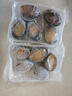 森农乐鲍鱼鲜活冷冻特大生鲜大号贝类海鲜水产超大即食佛跳墙食材鲍鱼汁 3-5只/斤【超大鲍鱼2斤 肥厚鲜弹】 实拍图
