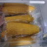 京鲜生 东北黄玉米净重3.6斤 8根*220g+ 真空包装加热即食 源头直发 实拍图