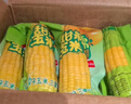 金沃瑞丰【25年头茬】有机黄糯玉米棒 220g*8袋 新鲜甜粘黏早餐 实拍图