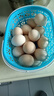 新鲜农家谷物鲜鸡蛋  现捡现发 破损包赔  营养早餐 20枚装（2斤） 实拍图