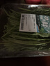 【山野寻鲜】芝麻菜150g 实拍图