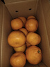 酸甜云南新鲜青橘孕妇青皮当季无籽橘子桔子薄皮水果多汁一整箱 中果（单果≥60g） 5斤 实拍图