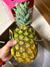 佳农 黑钻菠萝1粒装 菲律宾凤梨 净重2斤起 生鲜水果 源头直发 包邮 实拍图