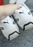 彪马（PUMA）薄底鞋|复古白色赛车休闲鞋男女冬运动鞋REDON388167 白-白-黑色-01 44 实拍图