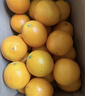 玖原农珍 赣南脐橙新鲜橙子含箱10斤净重9斤优选果150-300g 年货水果礼盒 实拍图