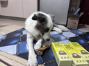 疯狂小狗宠物狗狗零食磨牙牛骨头金毛中大型犬洁齿耐啃 风干牦牛骨170g 实拍图
