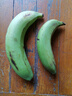高山香蕉广西产地直发薄皮青果软糯香甜自然熟当季新鲜采摘纯天然 高山香蕉250克（2-3根） 实拍图