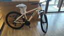 喜德盛（xds）山地自行车黑客350/旭日310 X6铝合金车架21速变速机械碟刹 旭日310象牙白15.5寸 实拍图
