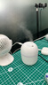 加湿器家用空气加湿器净化器香薰机空调房加湿器喷雾器usb静音卧室孕妇婴儿喷雾宿舍学生女生礼物 标准款【珍珠白220ML+纳米雾化+静音加湿】 实拍图
