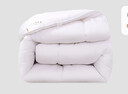 富安娜 舒暖 纤维被子冬季被芯 双人冬厚被 约6.3斤 203*229cm 白色 实拍图