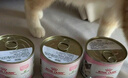 皇家（ROYAL CANIN）猫粮慕斯猫罐头湿粮奶糕幼猫粮全价粮 欧洲原装进口猫咪主食罐头 【1170g 猫奶糕罐头】195g*6罐 实拍图