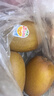 佳沛（zespri）新西兰 新果季 阳光金奇异果30-33粒原箱单果重约101-124g 猕猴桃 实拍图
