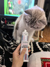 俏贝丽宠物营养膏化毛膏120g猫咪狗狗排除毛球化毛球补充营养维生素鱼油 实拍图