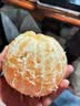 京鲜气四川春见耙耙柑 水果不知火丑橘丑八怪爆浆粑粑柑整箱水果礼盒 精选 3斤【普装】 实拍图