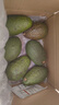 山姆大叔 金奖·哈斯牛油果云南孟连【闪送】当季鳄梨非即食新鲜水果礼盒 【80%选择】精品果丨约100-130g 6枚【热销* 超值推荐】普装 实拍图