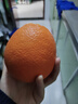 江西赣南早脐橙整箱当季新鲜早橙子榨汁水果礼盒皮薄多汁节日团购 【90%人选】净重9斤单个200g+ 实拍图