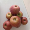 京鲜生山东烟台红富士苹果净重8斤单果80mm+生鲜水果源头直发 实拍图
