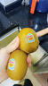 佳沛（zespri）新西兰阳光金果6个装巨大果单果144-175g水果猕猴桃源头直发 实拍图