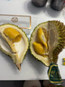 京鲜生马来西亚D197猫山王榴莲冷冻1.5-2斤保3房新鲜水果 实拍图