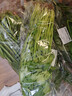带根香菜100g 实拍图