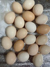 耕果妙林下散养土鸡蛋20枚初生蛋1.6斤 农家柴鸡蛋包邮 源头直发 实拍图