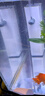 森森 小鲤鱼缸过滤器净水循环三合一内置水族箱过滤系统XQP-500F 6W 实拍图
