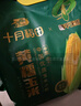 十月稻田 四平黄糯玉米 3.52斤(220g*8根)东北玉米棒 低脂早餐 零食 实拍图
