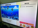 任天堂（Nintendo）【国内保税仓】Switch2/1代 OLED/续航加强日版/港版便携家用ns体感游戏机掌机 日版OLED红蓝64GB保税（赠共享会员） 实拍图