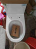 松鲸 卫浴家用马桶坐便器大冲力超漩虹吸式静音连体座便器小户型马桶 直冲型【大冲力】300坑距 实拍图