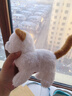雅斯妮儿童玩具毛绒电动仿真宠物猫会动会叫带牵绳3-6岁圣诞生日礼物 实拍图