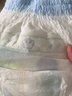 babycare艺术大师纸尿裤中号M码42片(6-11kg) 婴儿尿不湿瞬吸干爽透气 实拍图