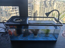 阔庭（KUOTING）鱼缸水族箱生态桌面鱼缸新款懒人鱼缸过滤制氧一体机黑色【大号】 实拍图